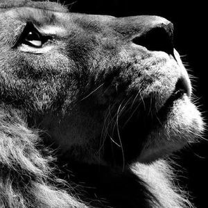 Meet your Posher, Edwin